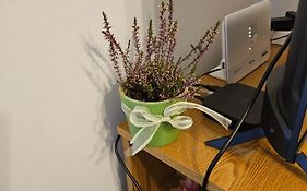Apartman Noa